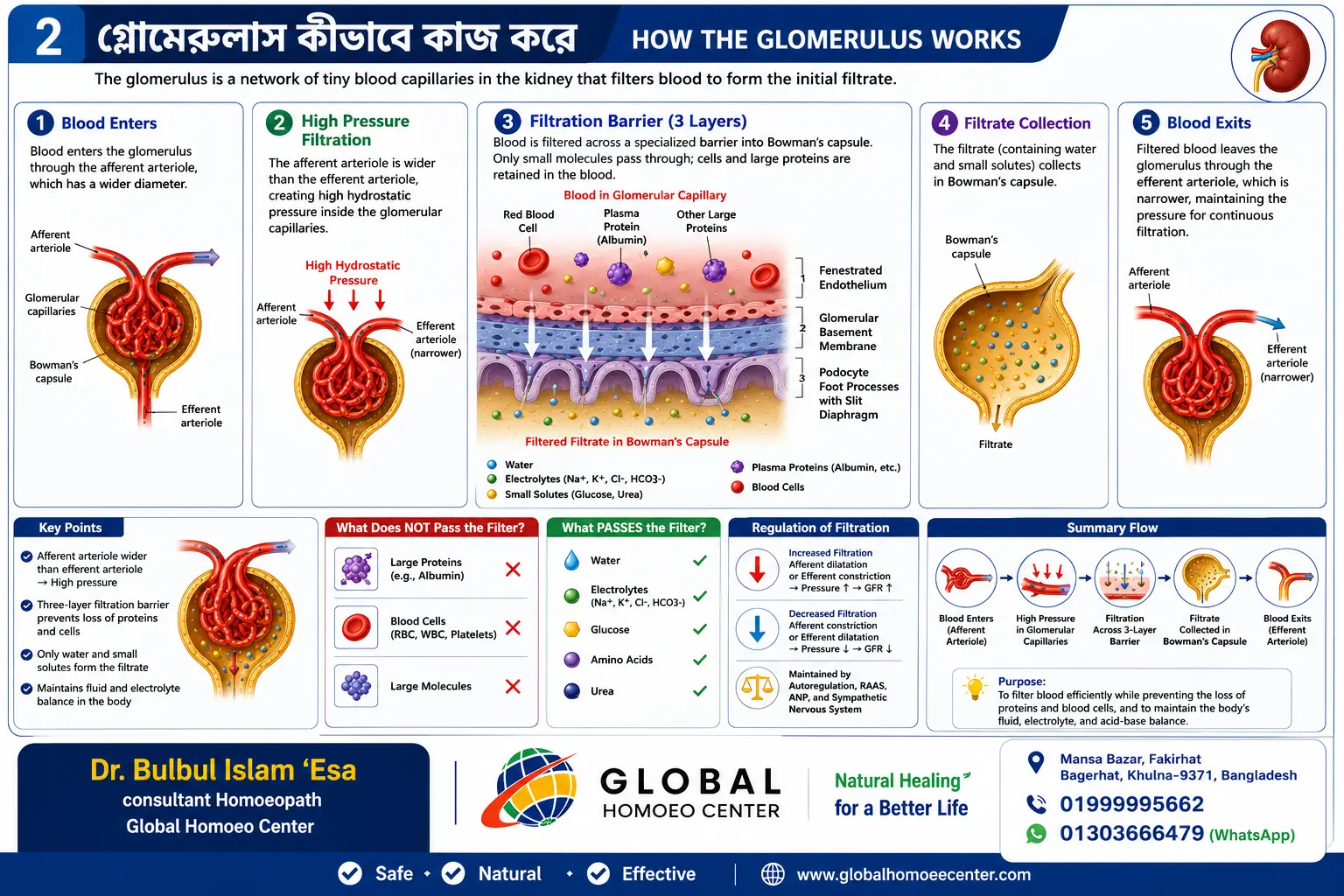নেফ্রোটিক সিনড্রোম